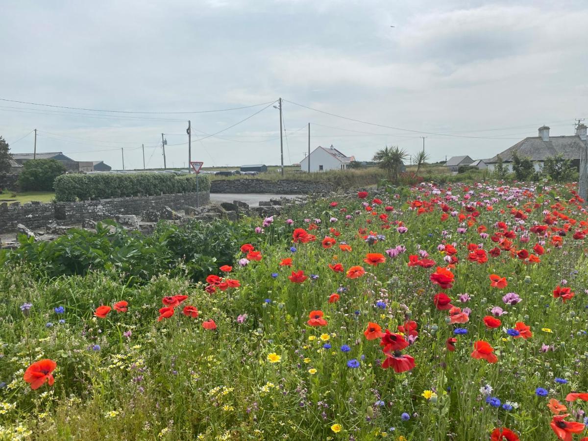 Quilty Clonmore Lodge B&B المظهر الخارجي الصورة