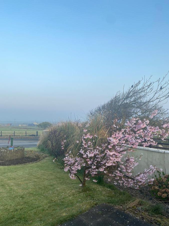 Quilty Clonmore Lodge B&B المظهر الخارجي الصورة