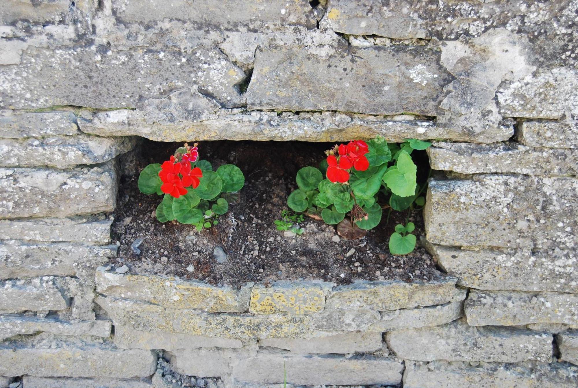 Quilty Clonmore Lodge B&B المظهر الخارجي الصورة