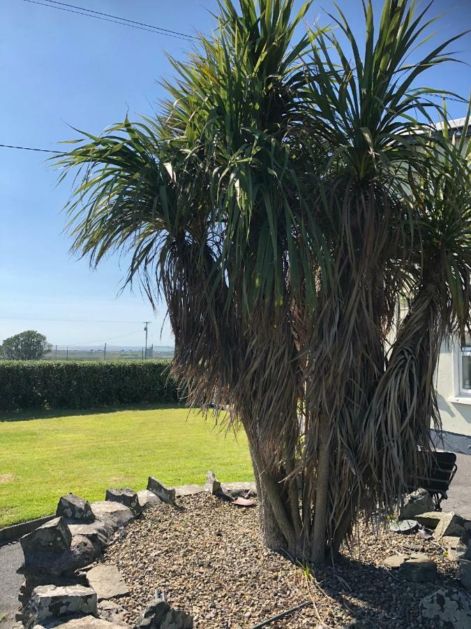 Quilty Clonmore Lodge B&B المظهر الخارجي الصورة